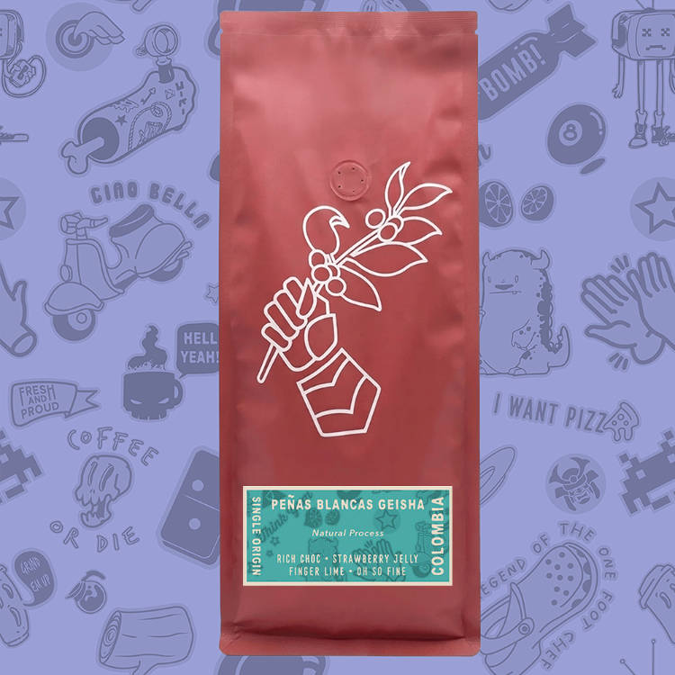 Colombia Penas Blancas Geisha
