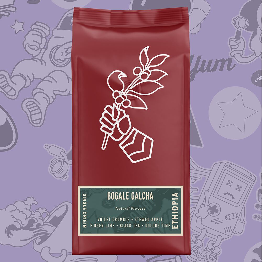 Ethiopia Bogale Galcha