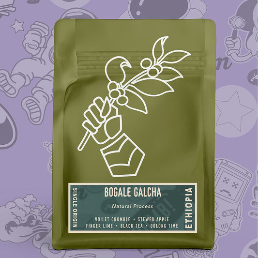 Ethiopia Bogale Galcha